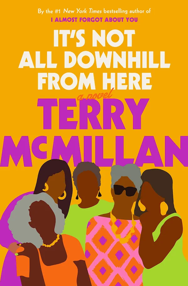 Terry McMillan - It's Not All Downhill from Here