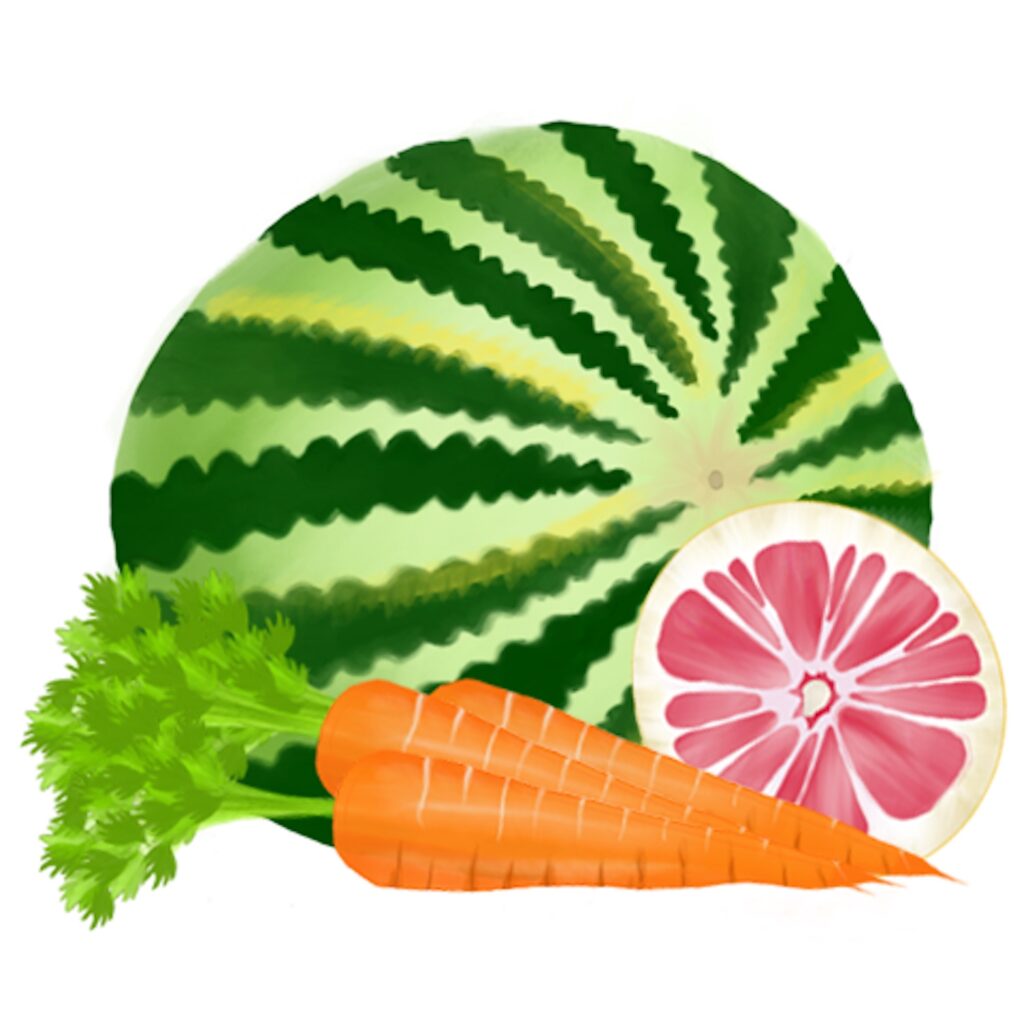 Watercolor fruit and vegetable artwork drawn by Cam Elliott